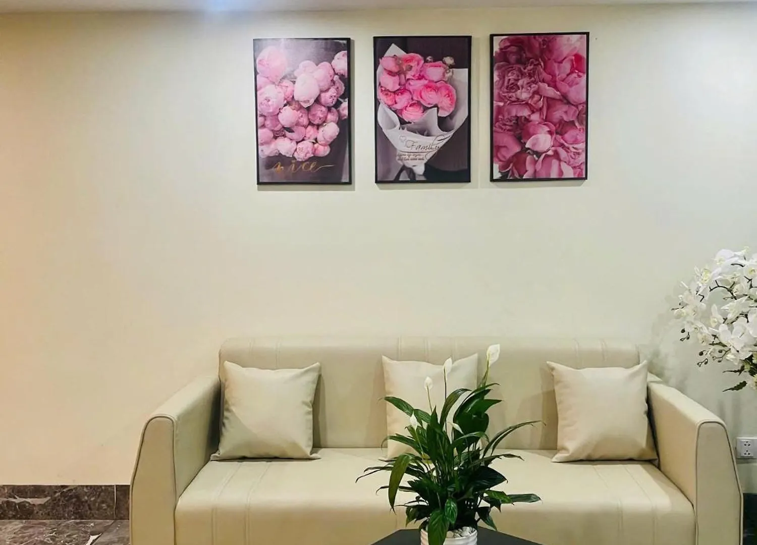Hana Premier Apartment Da Nang